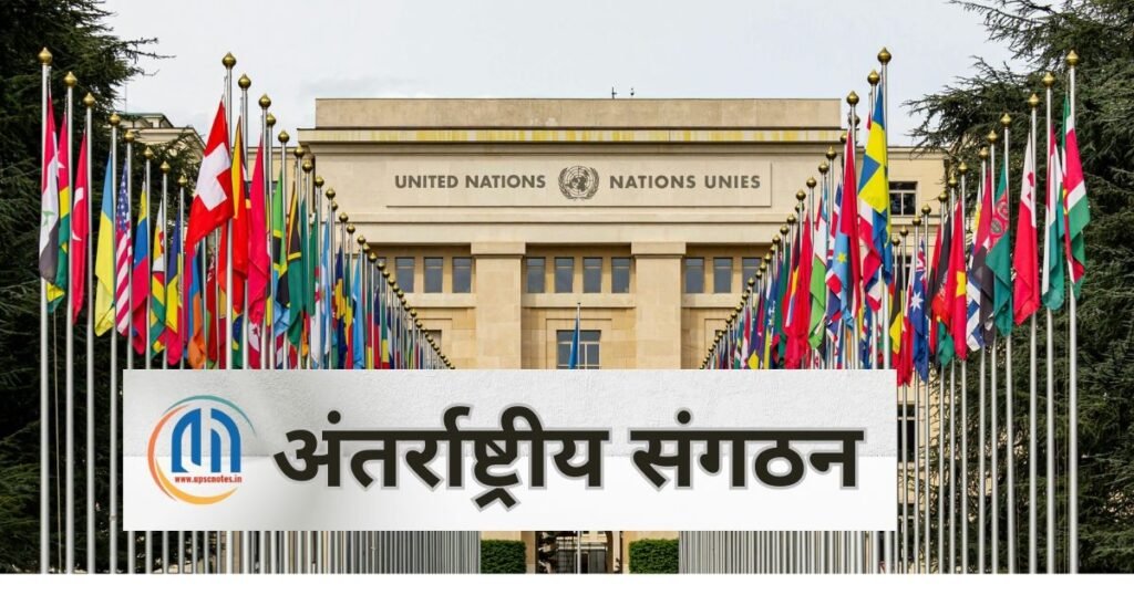 अंतर्राष्ट्रीय संगठन क्या है ?