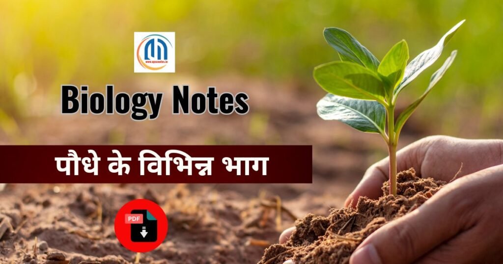 पौधे के विभिन्न भाग | अवलोकन एवं उनके कार्य 